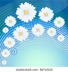 white daisies on blue background, vector