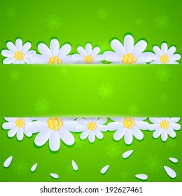 White daisies on green background with banner, illustration.
