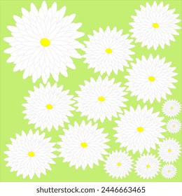 White daisies on a green background. The concept of spring and summer, Family Day