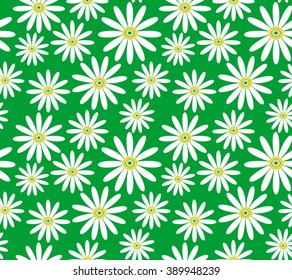 white daisies on green background seamless vector pattern