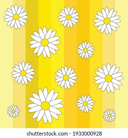 White daisies on yellow background