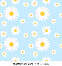 Blue Daisy Images Stock Photos Vectors Shutterstock