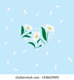 white daisies in the shape of a heart on a light blue background