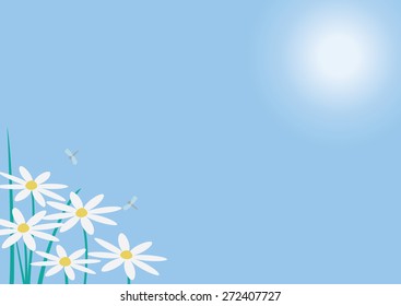white daisies in the sun on a sky blue background
