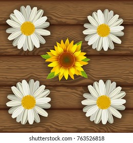 White daisies and yellow sunflowers on the background of wooden boards. Summer floral texture. Vector illustration.