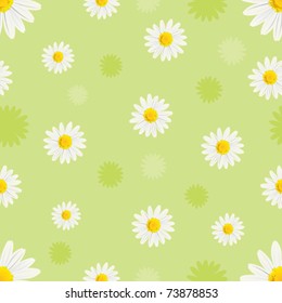 white daisy background