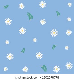 white daisy with blue background vector illustration