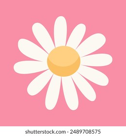 White daisy chamomile. Camomile round icon. Cute hand drawn abstract flower plant collection. Growing concept. Valentines Day. Love card sign symbol. Flat design. Isolated. Pink background. Vector