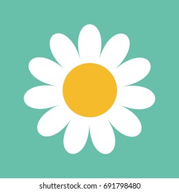 White daisy chamomile. Cute big flower plant collection. Love card. Camomile icon Growing concept. Flat design. Green background. Isolated. Vector illustration