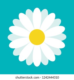 White daisy chamomile. Cute flower plant collection. Love card. Camomile icon Growing concept. Flat design. Green background. Isolated.