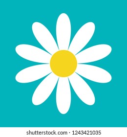 White daisy chamomile. Cute flower plant collection. Love card. Camomile icon Growing concept. Flat design. Green background. Isolated.