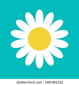 White daisy chamomile. Cute flower plant collection. Love card. Camomile icon Growing concept. Flat design.