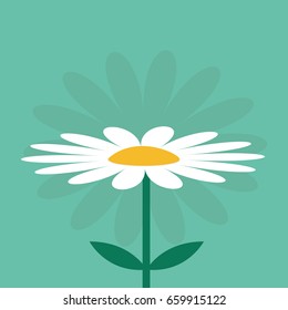 White daisy chamomile. Cute growing flower plant collection. Love card. Camomile icon. Flat design. Green background. Isolated. Vector illustration