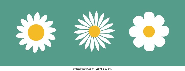 White daisy chamomile. Cute round flower plant collection. Growing concept. Love card symbol. Flat design.