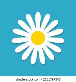 White daisy chamomile. Chamomile flower. Camomile icon. Spring camomile with shadow isolated on blue background. Cartoon illustration for kid, heart love and summer. Vector.