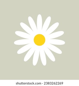 White Daisy Chamomile Flower Isolated Icon Vector Illustration
