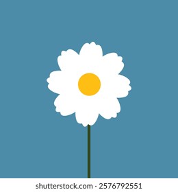 White daisy chamomile flower round icon. Cute plant collection. Camomile petal. Love card. Growing concept. Happy Valentines Day decoration. Flat design. Color background. Isolated. Vector