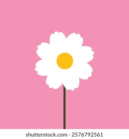 White daisy chamomile flower round icon. Cute plant collection. Camomile petal. Love card. Growing concept. Happy Valentines Day decoration. Flat design. Color background. Isolated. Vector