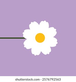 White daisy chamomile flower round icon. Cute plant collection. Camomile petal. Love card. Growing concept. Happy Valentines Day decoration. Flat design. Color background. Isolated. Vector