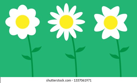 White daisy chamomile flower with stalk. Green background. Flat design vector illustration.