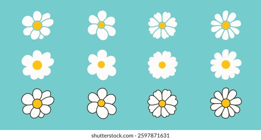 White Daisy Chamomile Flower Vector Illustration, Flat floral elements, Blossom flowers with white petals. 