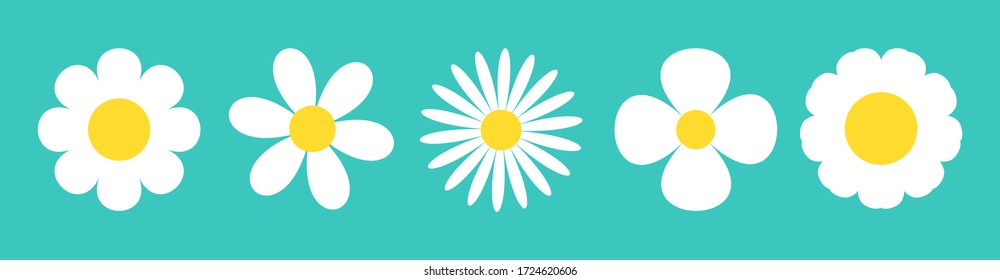 White daisy chamomile icon. Camomile line set. Cute round flower plant nature collection. Love card symbol. Growing concept. Decoration element. Flat design. Green background. Isolated. Vector