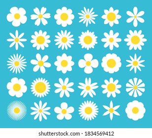 White daisy chamomile icon. Camomile super big set. Cute round flower plant nature collection. Love card symbol. Decoration element. Growing concept. Flat design. Blue background. Isolated. Vector