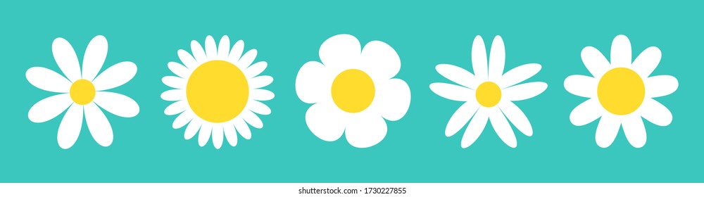 White daisy chamomile icon set. Camomile line. Cute round flower plant nature collection. Love card symbol. Growing concept. Decoration element. Flat design. Green background. Isolated. Vector