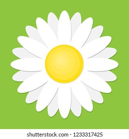 White daisy chamomile icon. Vector illustration. Cute flower in flat style.
