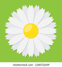 White daisy chamomile icon. Vector illustration. Cute flower in flat style.