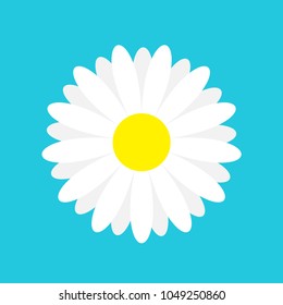 White daisy chamomile marguerite icon. Cute flower plant collection. Love card. Camomile icon Growing concept. Flat design. Blue background. Isolated. Vector illustration