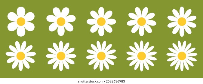 White Daisy Chamomile on green background, floral illustration with Chamomile flowers of different petal counts 6 to 15. Summer nature design for textiles, prints