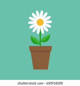 White daisy chamomile in pot. Cute flower plant collection. Love card. Camomile icon Growing concept. Flat design. Green background. Isolated. Vector illustration