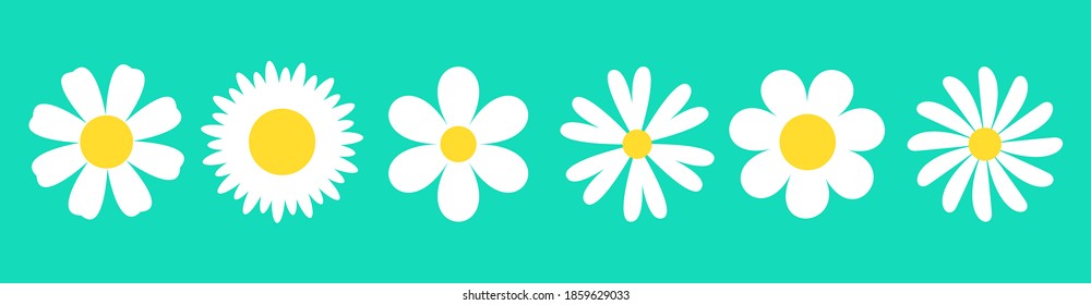 White daisy chamomile set. Camomile icon line banner. Cute round flower head plant nature collection. Decoration element. Love card symbol. Growing concept. Flat design. Green background. Vector