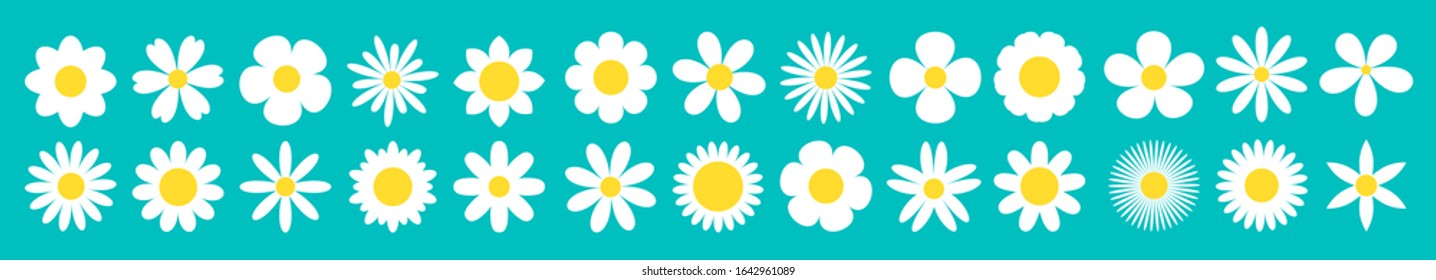 White daisy chamomile set line. 26 round sign symbols. Camomile icon. Cute round flower plant collection. Yellow heart center. Growing concept. Love card Flat design. Green background Isolated. Vector