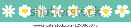 White daisy chamomile set line. Camomile icon. Cute round flower plant collection. Yellow heart center. 