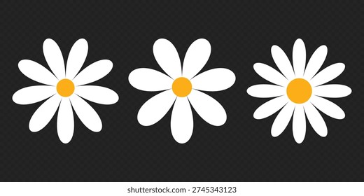 White daisy chamomile vector icon