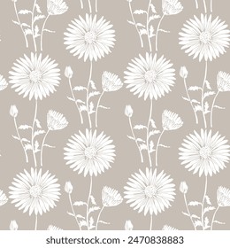 White Daisy drawing in a vector style isolated. Full name of the plant: Daisy. Vector flower for beige background, texture, wrapper pattern, frame or border.