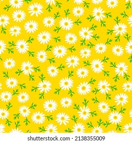 white daisy floral pattern. chamomile flowers in the summer spring garden. good for dress, fabric, wallpaper, fashion, etc. 