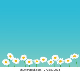 Material de fondo de flor de margarita blanca. Ilustración vectorial.
