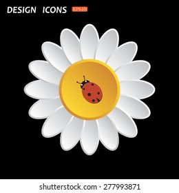 White daisy flower. Flat design style. Ladybird. icon. vector design