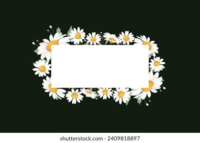 White Daisy Flower Frame Background