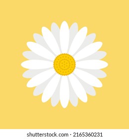 White Daisy Flower Isolated On Yellow Background. EPS 10 Vector Illustration.