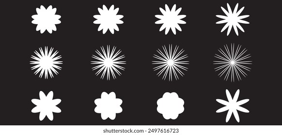 white daisy flower isolated on black background. Flat lay, top view. Floral pattern, object . Daisy flower vector