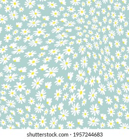 white daisy flower on blue background vector.