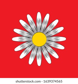 white daisy flower over red background. vector illustration