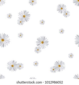 white daisy flower pattern background