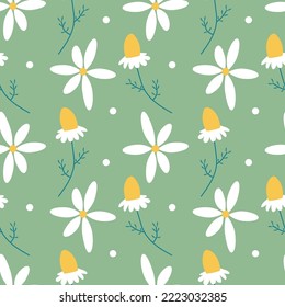 Flor de margarita blanca patrón vectorial sin fisuras. Patrón floral con flores blancas pequeñas sobre verde claro. Textura repetitiva para impresiones de moda. Impresión de camomila.