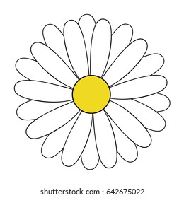 White daisy flower vector illustration, daisy blossom hand drawing icon isolated on transparent background.