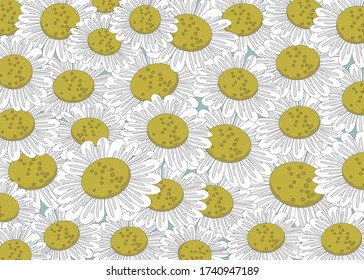 White Daisy Flower Vector On Blue Stock Vector Royalty Free Shutterstock